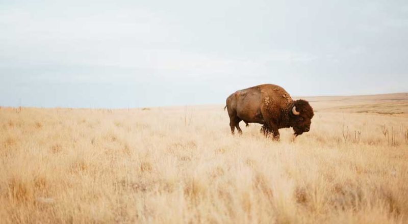 parc national usa