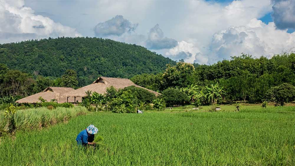 voyage en Thaïlande