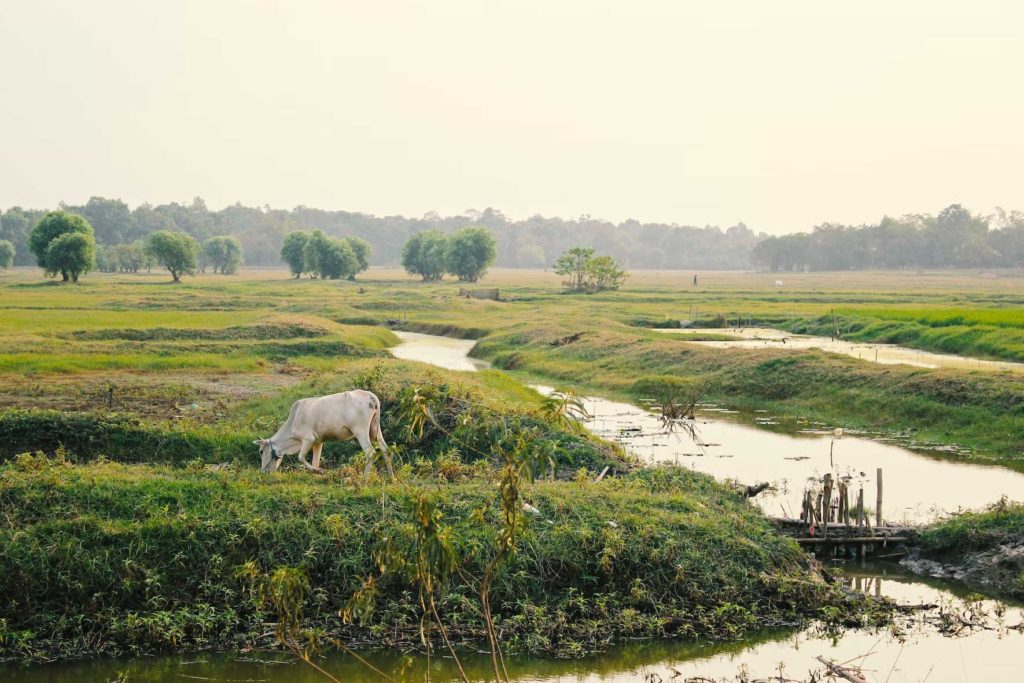 Voyage au Myanmar