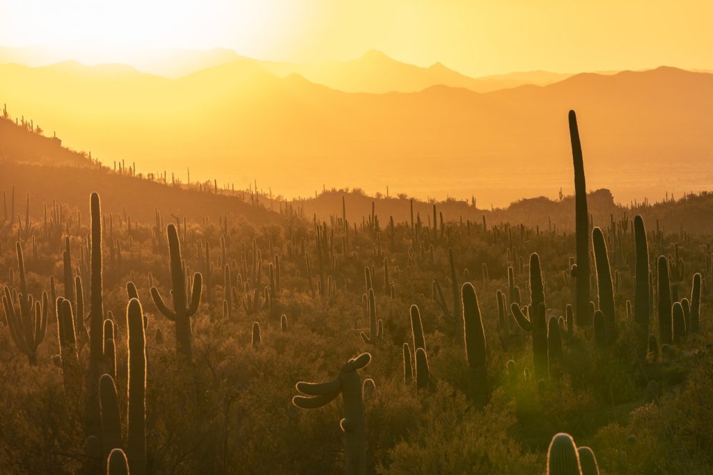 voyage en Arizona