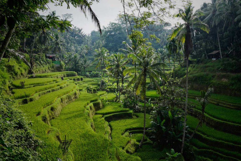 voyage à Bali