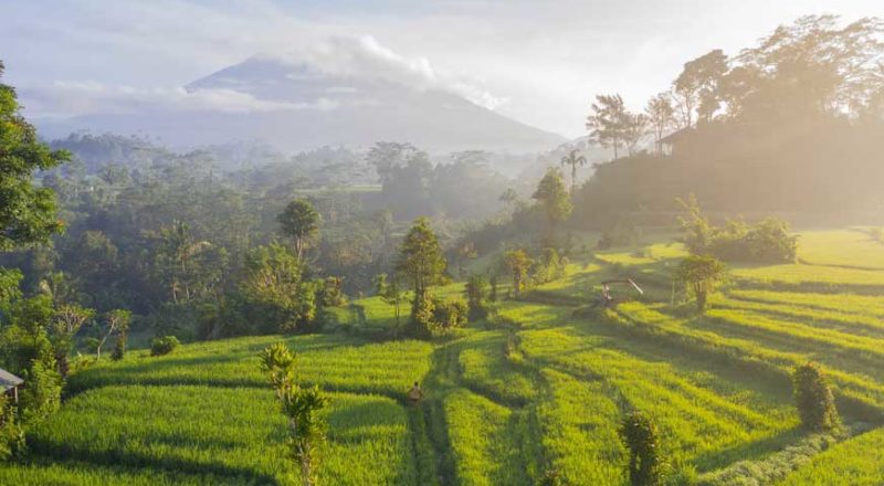 voyage à Bali