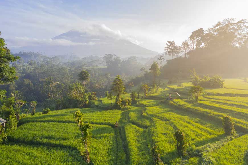 voyage à Bali