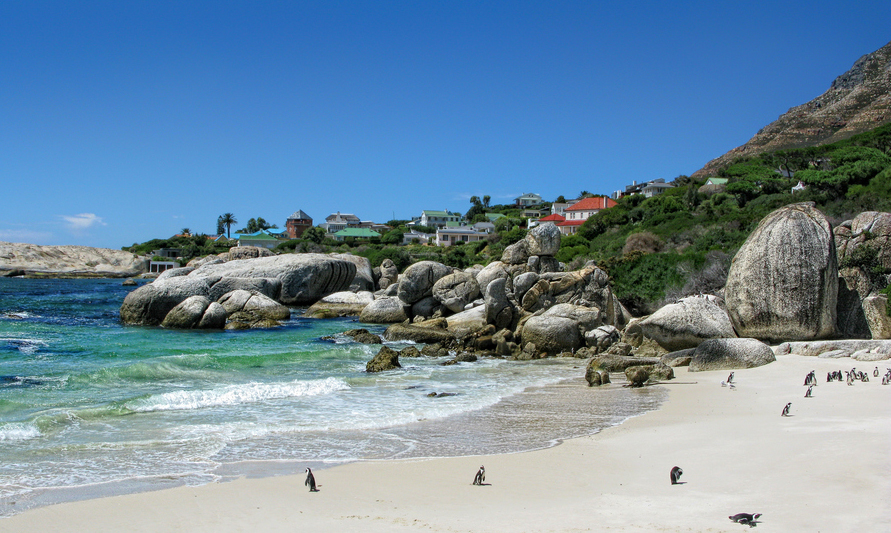 Boulder Beach Cape Town