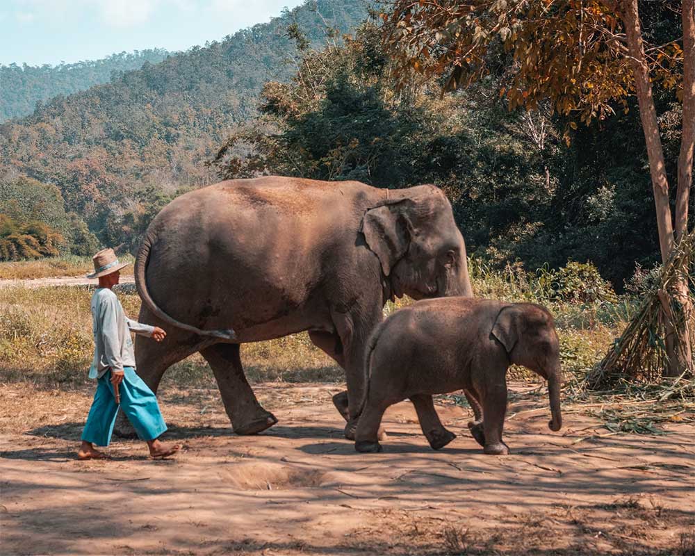 voyage à Chiang Mai