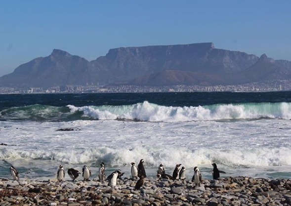 voyage Afrique du Sud