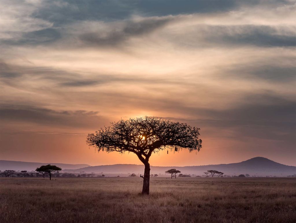 Masai Serengeti
