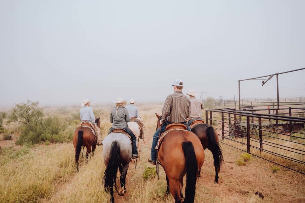 Traversée du Texas à Cheval : Un Voyage en Mode Cowboy