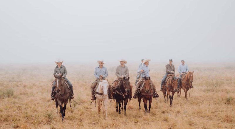 Traversée du Texas à Cheval : Un Voyage en Mode Cowboy